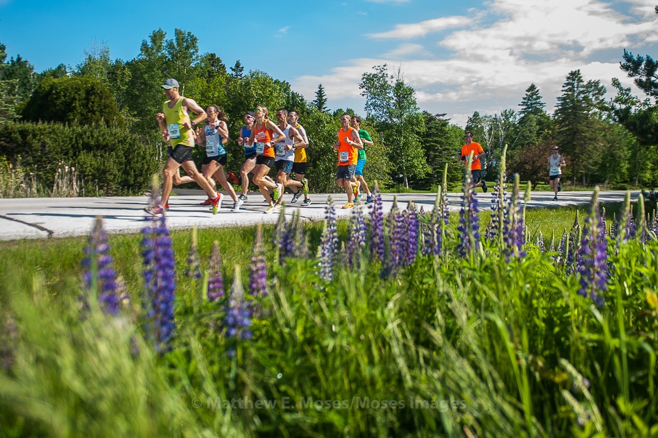 grandmas marathon runners and lupines