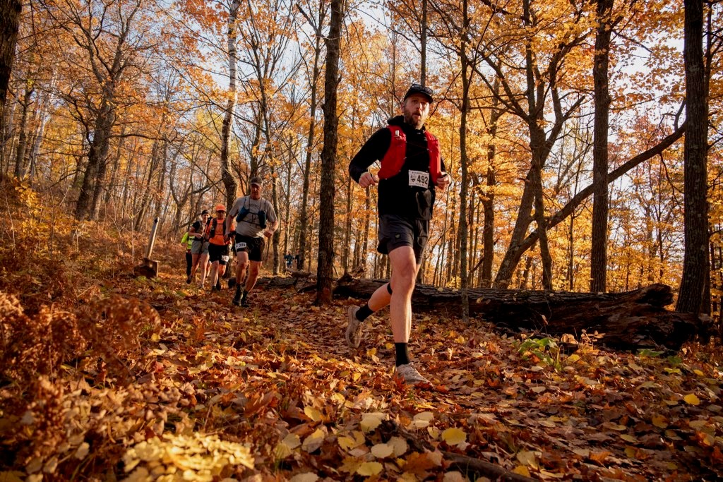 Photo Courtesy of Matthew Rohrer